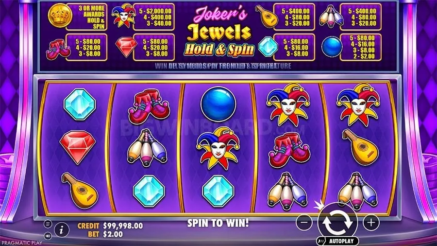 spinplus Gambling Glossary of Terms