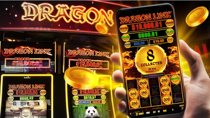 Spinplus Safe Bingo Play